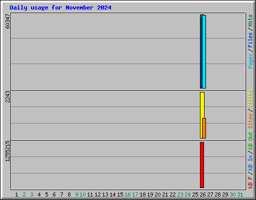 Daily usage for November 2024