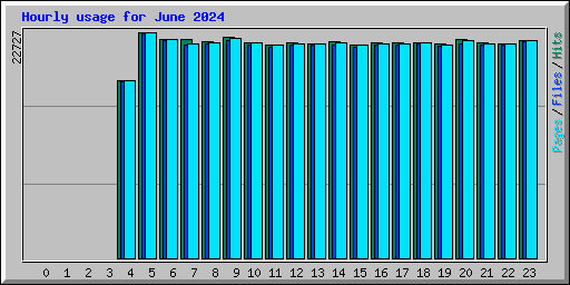 Hourly usage for June 2024